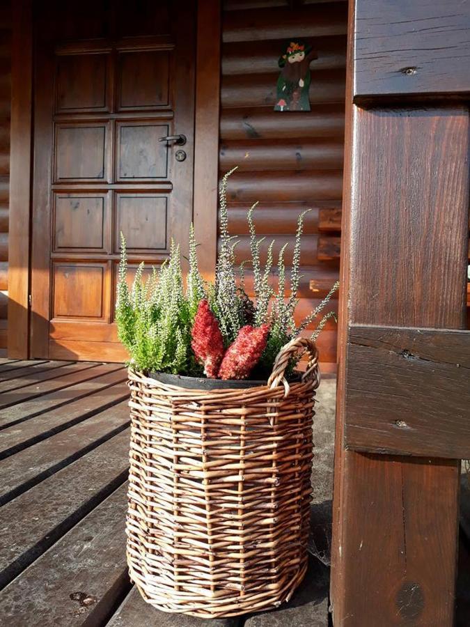 Willa Domek u Karkonosza Kamienna Gora Zewnętrze zdjęcie