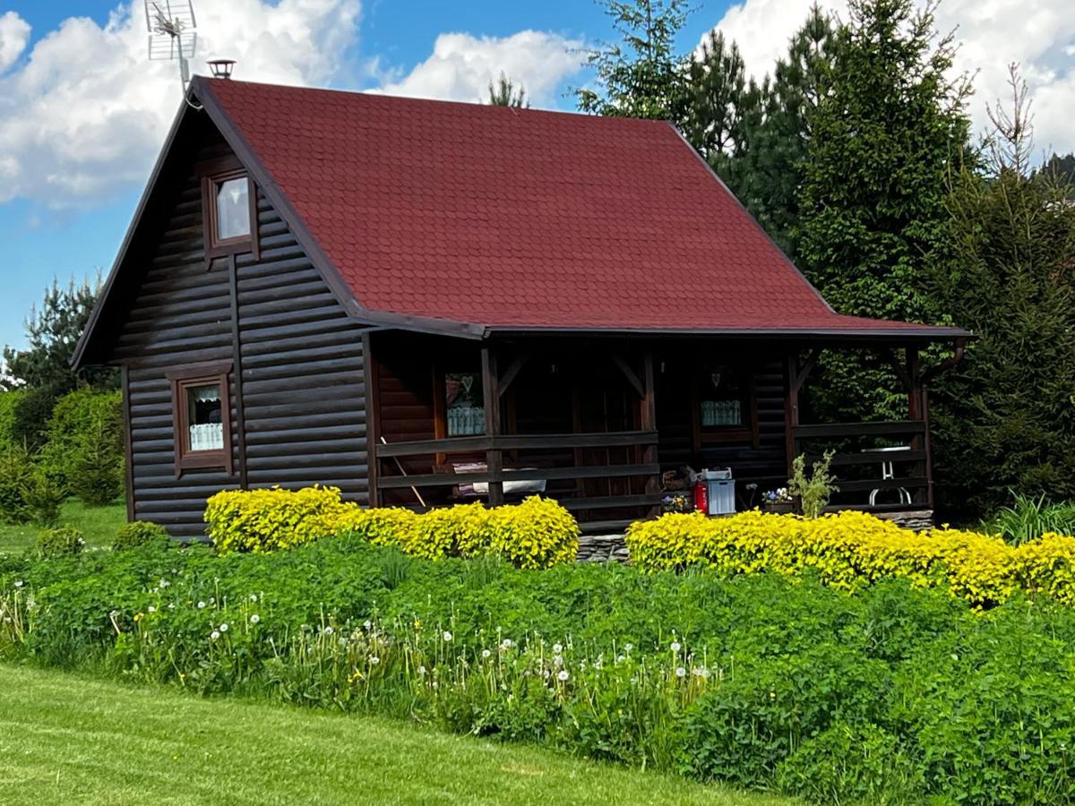 Willa Domek u Karkonosza Kamienna Gora Zewnętrze zdjęcie
